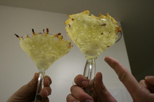 img_7838_1024x684 Behold, the French Onion Martini. A intriguing idea, non?