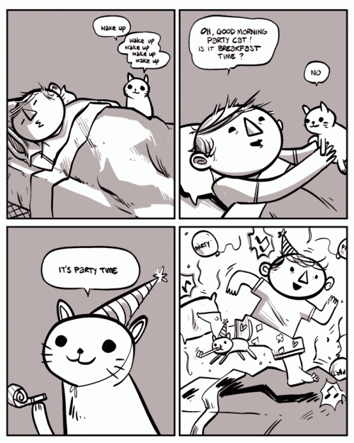 partycat