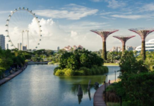 Which Countries are the Most Business-Friendly? You Might Be Surprised