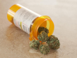5 Uses of Medical Marijuana that May Change the Future
